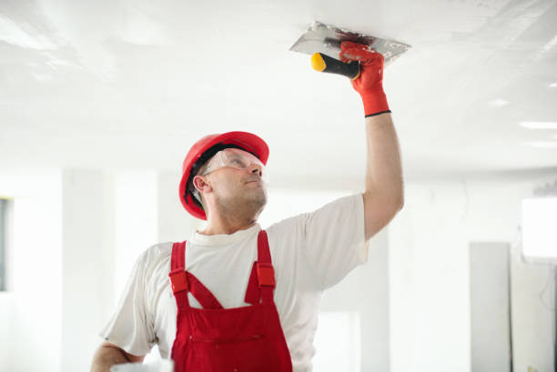 Best Crawl Space Mold Remediation  in Wenonah, NJ